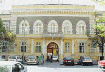 The Faculty of Medicine